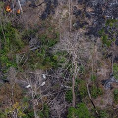 20240801fogoamazonia-greenpeacemarizilda-gp0su1tn8