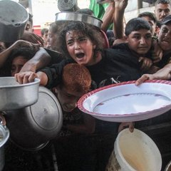 fome gaza 2 - reproducao