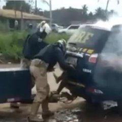 genivaldo - reproducao