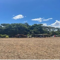 Retomada de Yvyrapygue, Laranjeira Nhanderu