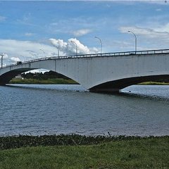 honestino guimaraes2