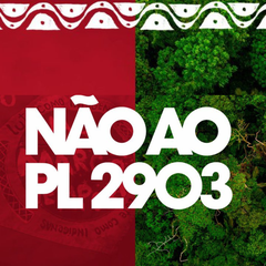 naopl2903